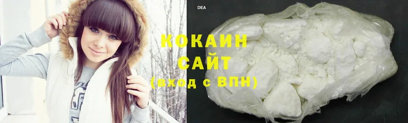 COCAIN Fish Scale  кракен как зайти  Кстово  купить наркотик 